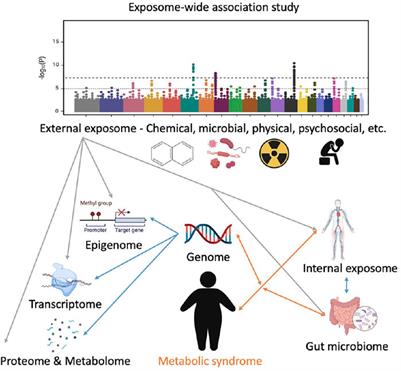 Exposome-wide Association Study for Metabolic Syndrome